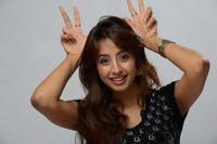 Sanjana New Cute Gallery
